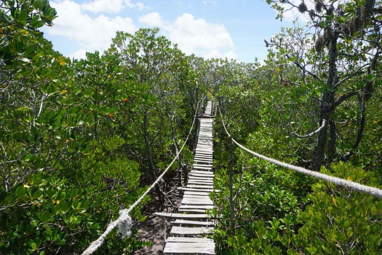 וואטאמו Mida Creek Nature Camp מראה חיצוני תמונה