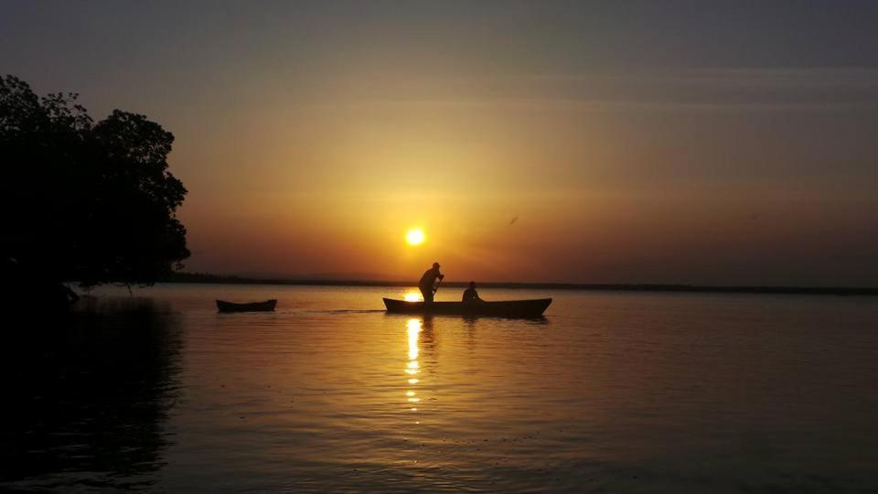 וואטאמו Mida Creek Nature Camp מראה חיצוני תמונה